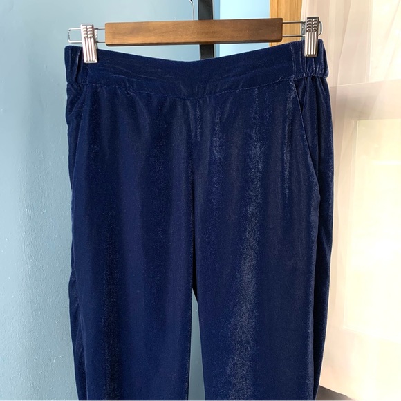 J. Crew Navy Velvet Pull On Pants - Picture 2 of 6